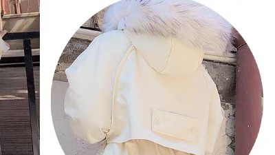 派克服面料是什么面料？